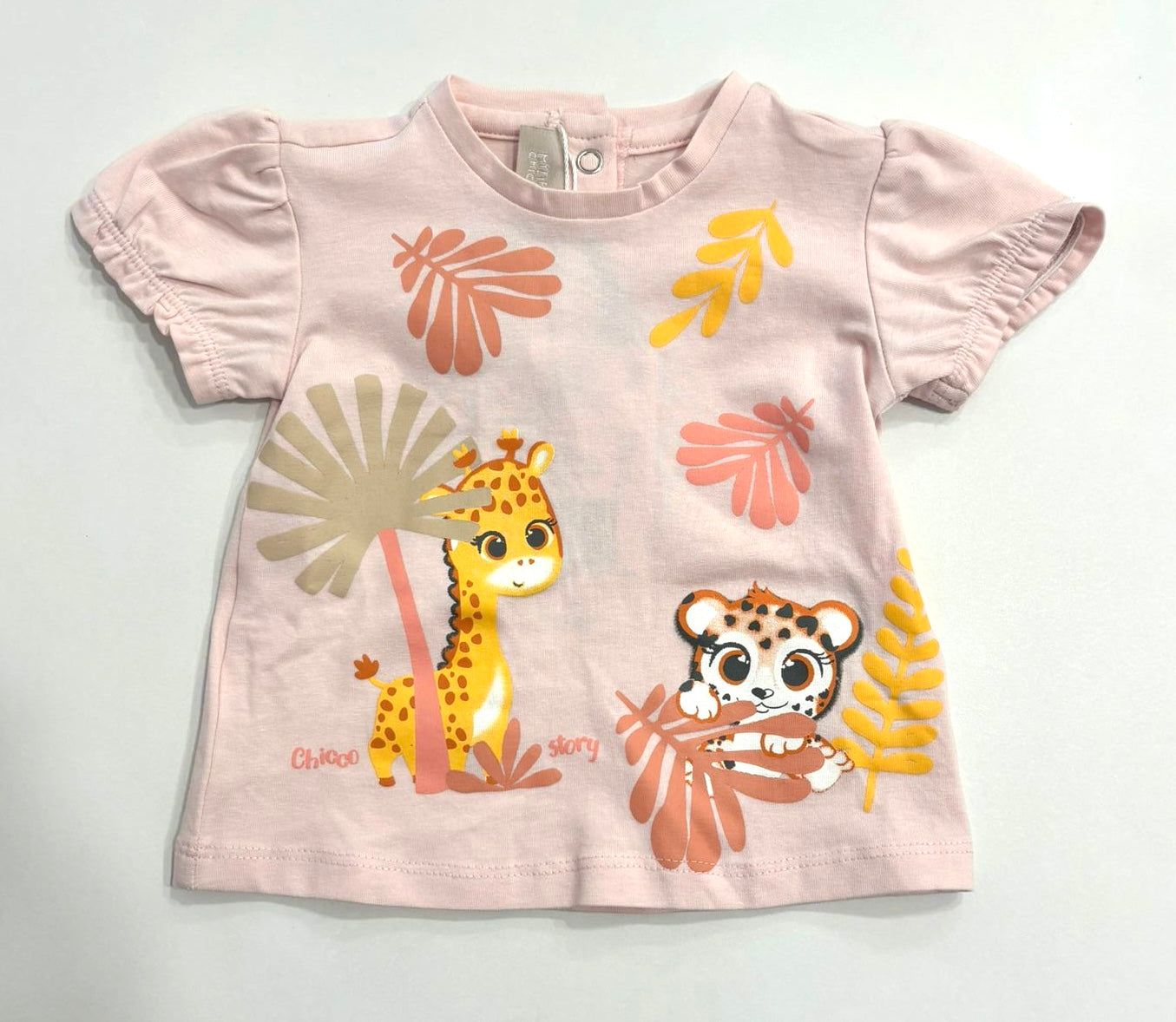 T shirt